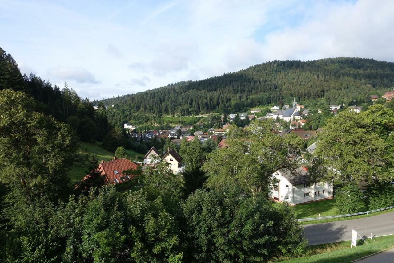 Zum Schwalbennest Apartment Todtmoos Exterior photo