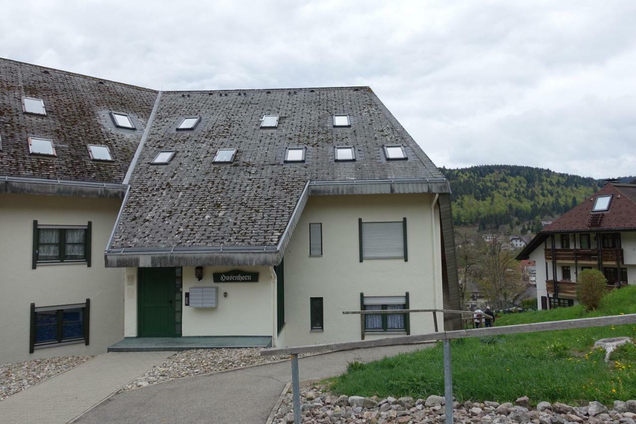 Zum Schwalbennest Apartment Todtmoos Exterior photo